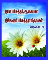 /album/hmpa-church/a13-16-c-jpg/